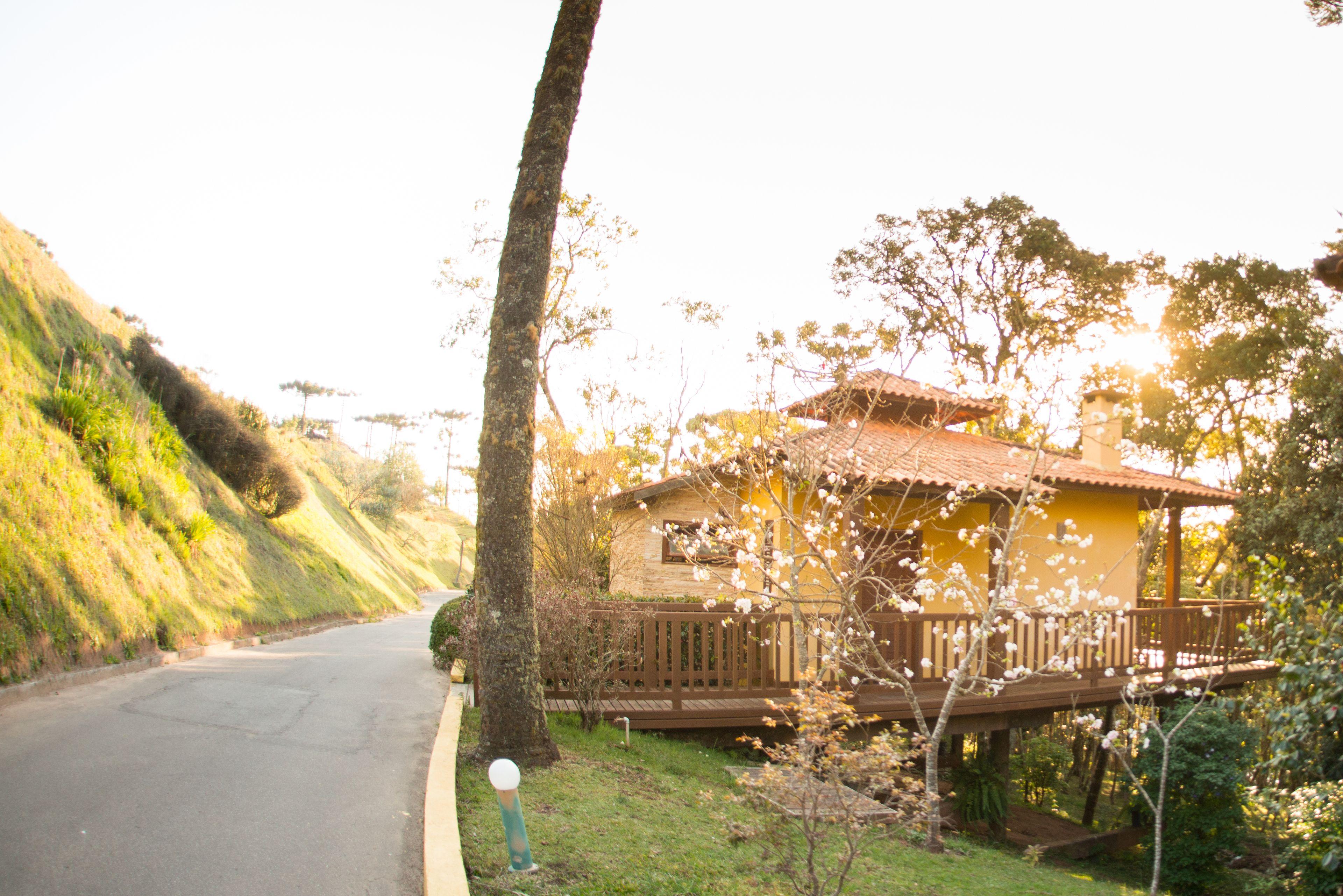 Surya-Pan Refugio Hotel - Super Pet Friendly — Photos 2